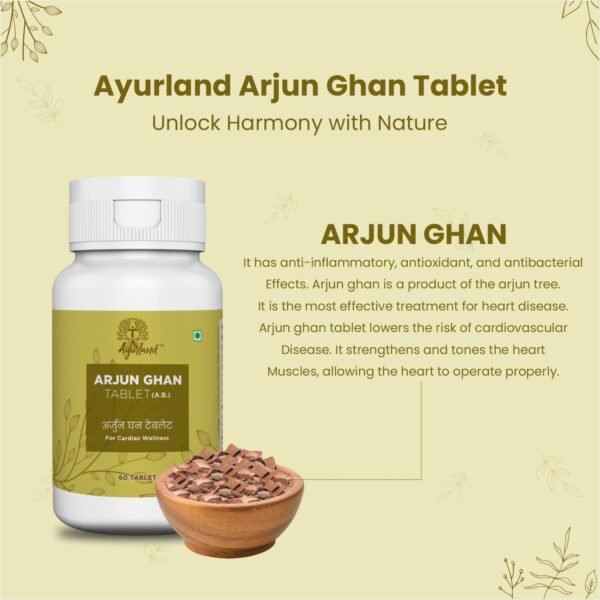 Arjun Ghan Tablet - Image 2