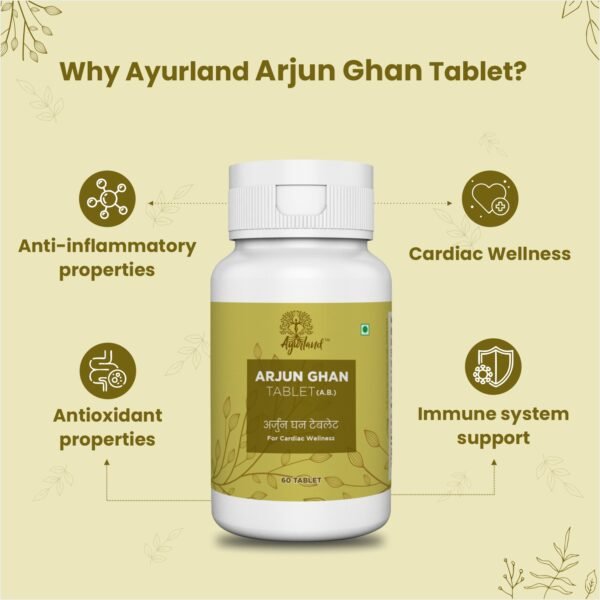 Arjun Ghan Tablet - Image 4